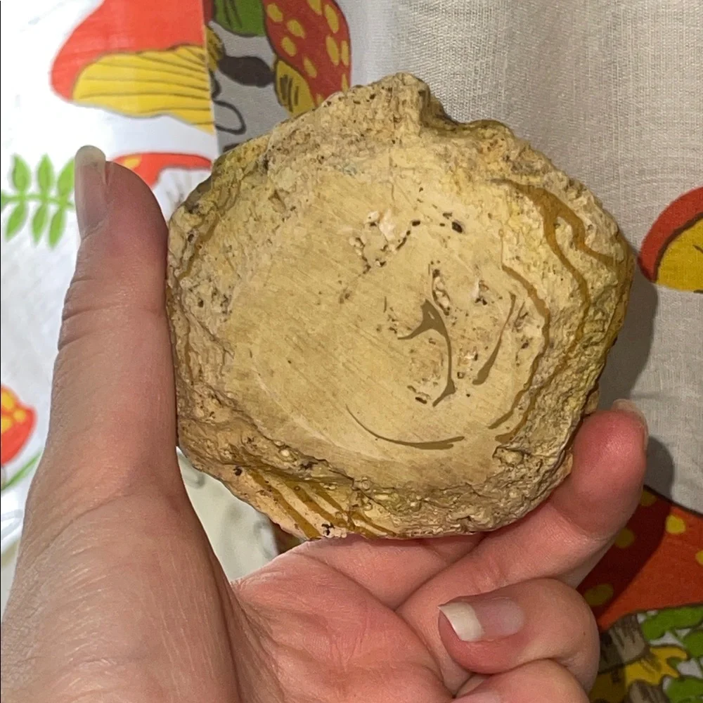Reptile food or water dish Bowl and Log Accent